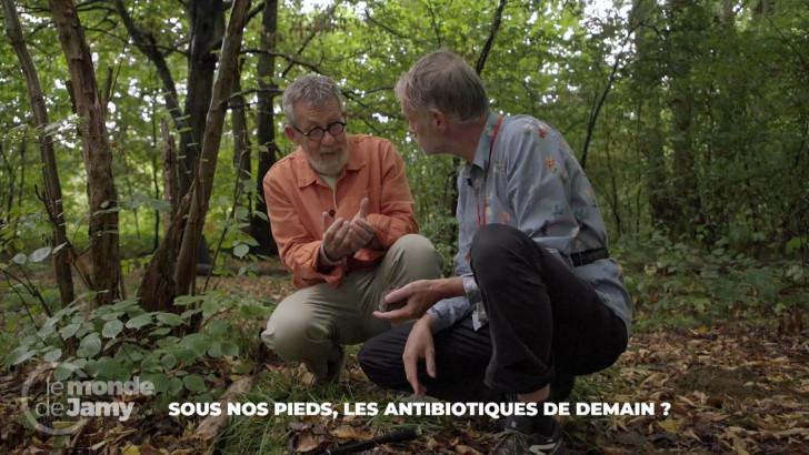 antibiotiques : attention à l'overdose